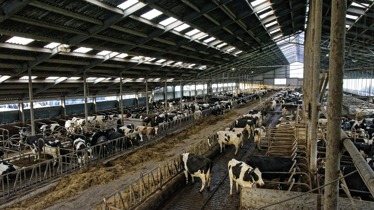 20151228 165811•Nieuw-Lekkerland•South Holland•Netherlands